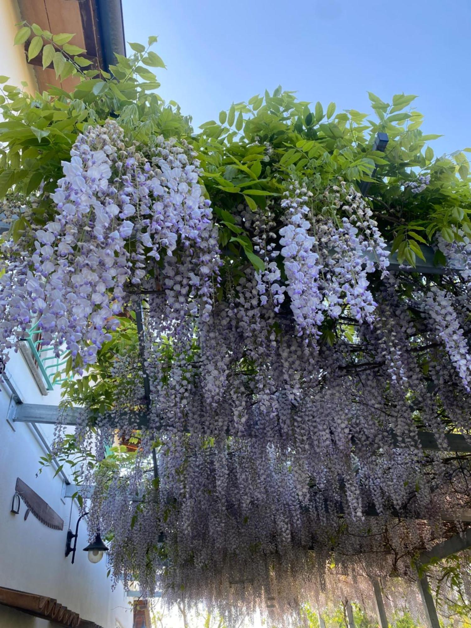La Locanda Del Tevere Fiano Romano Exterior foto